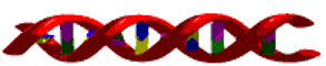 DNA