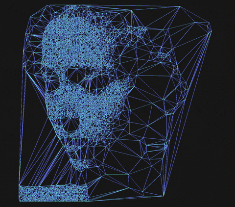Face scan